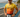 The DNF Files: 2025 Ironman World Championship Nice