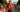 Who is Challenge Roth winner Alanis Siffert? Here’s her background, career highlights and quotes…