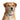 Tri Hard. Pet Dogs. collar